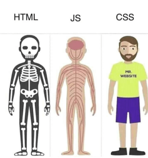 html vs. js vs. css